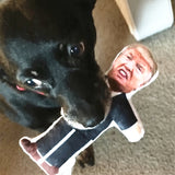 Hilarious Squeaky Dog Toy - Durable Polyester Chew Toy for All Breeds