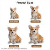 Kawaii Doll 3D Stuffed Pillow